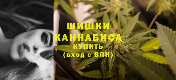 прущие грибы Надым