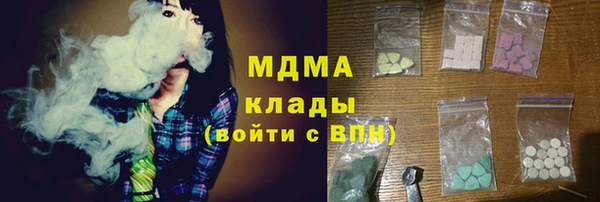 прущие грибы Надым