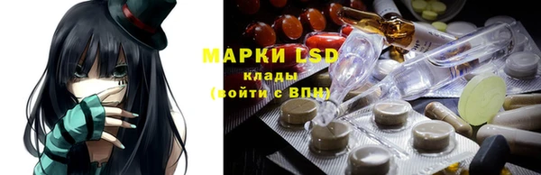 прущие грибы Надым