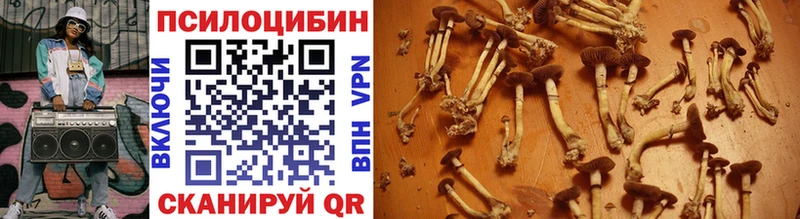 Псилоцибиновые грибы MAGIC MUSHROOMS Сосенский